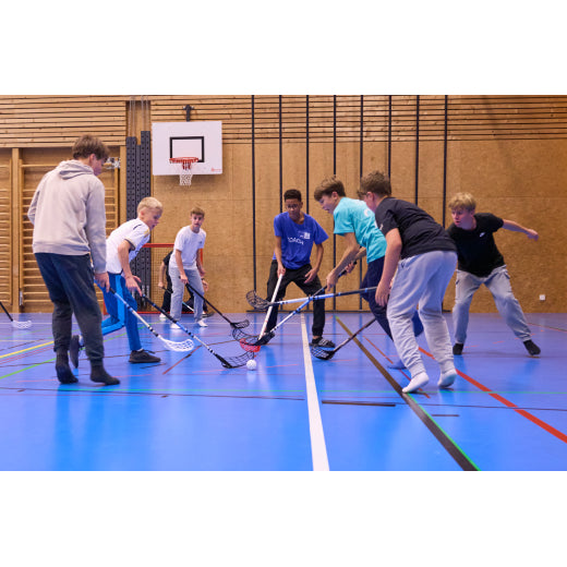 Idee Sport Stiftung Spenden