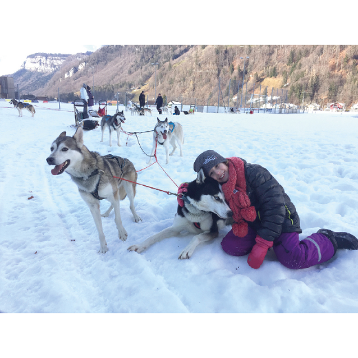 Stiftung Kinderhilfe Sternschnschnuppe