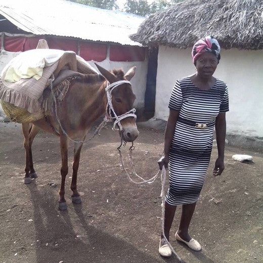 Das Tierkreditprogramm stärkt den Kleinhandel in Haiti - Verein - spendenbuch.ch