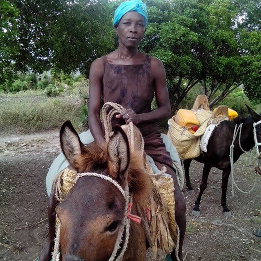 Das Tierkreditprogramm stärkt den Kleinhandel in Haiti - Verein - spendenbuch.ch