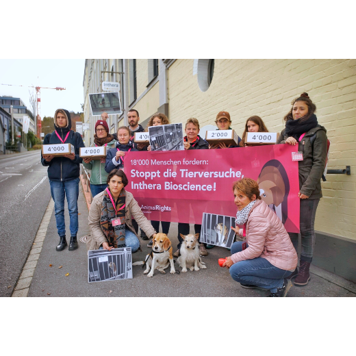 Animal Rights Switzerland