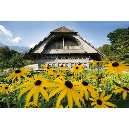 Ballenberg Freilichtmuseum der Schweiz - Stiftung - spendenbuch.ch