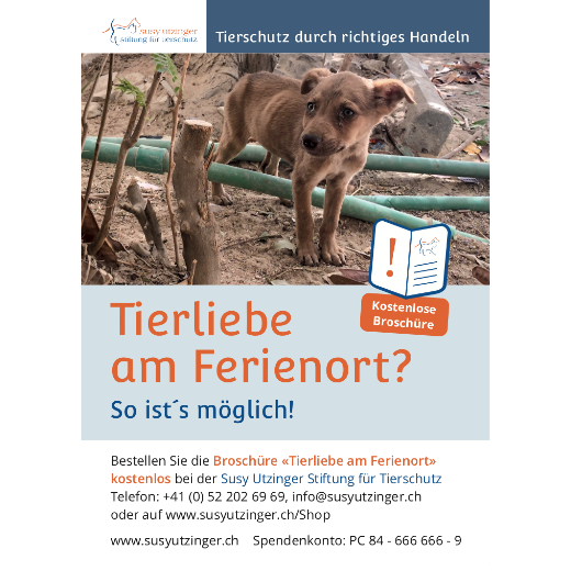 Füllerinserate Susy Utzinger Stiftung für Tierschutz
