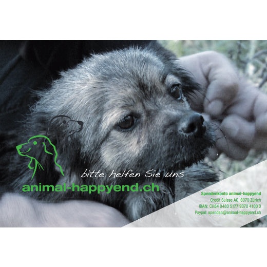 animal-happyend - Verein - spendenbuch.ch