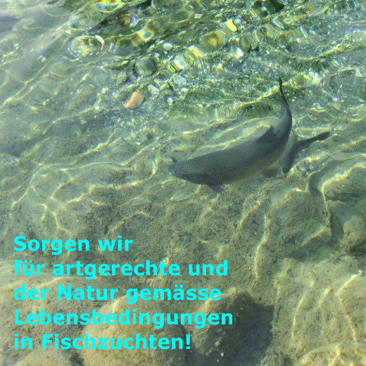 Verein fair-fish international - Verein - spendenbuch.ch