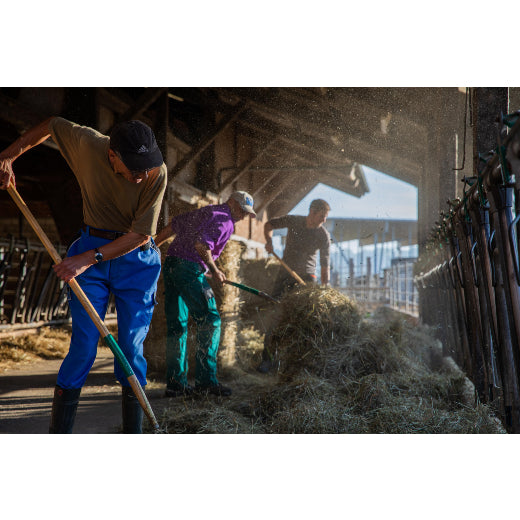 Murimoos werken und wohnen