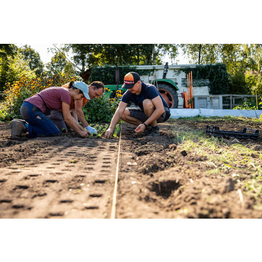 Murimoos werken und wohnen